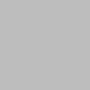 Керамическая плитка Городские цветы Плитка настенная серый 7083 20х50