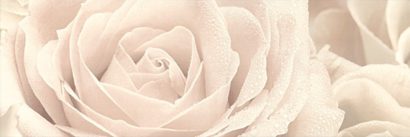 Керамическая плитка Розовый город Декор Роза 12056 3F 25х75