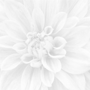 Керамическая плитка Crisantemo Панно из 3-х шт 36-05-00-463-0 60х60
