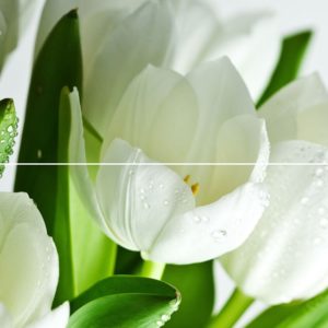 Керамическая плитка Arco Verde Tulipan Панно (из 2-х пл.) 50x60