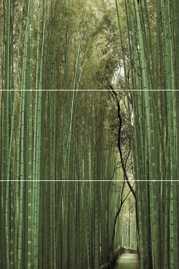 Bambu   Панно (из 3-х плиток ) D E F 50×75