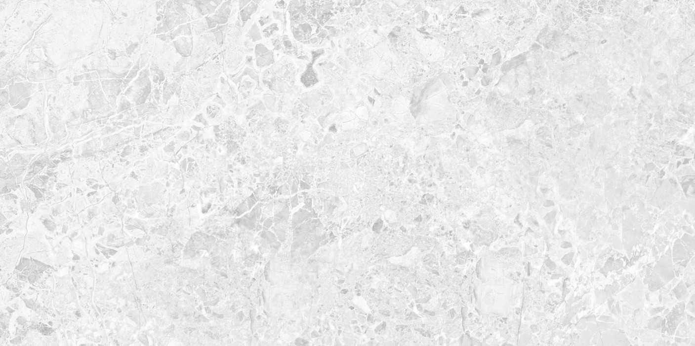 Brecia Adonis Grey Керамогранит светло-серый 60×120 глянцевый