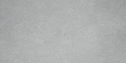 Керамогранит Дайсен Керамогранит светло-серый SG211200R   SG207900R 30х60  9мм (Орел)