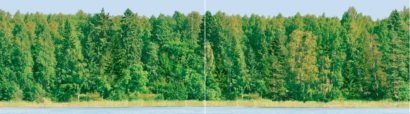 Керамическая плитка Dec Forest Panno (панно из 2-х шт) КПН16Forest 25х90