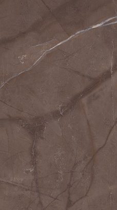 Керамическая плитка Меравиль Плитка настенная темная 1045-0139 1045-0195 25х45