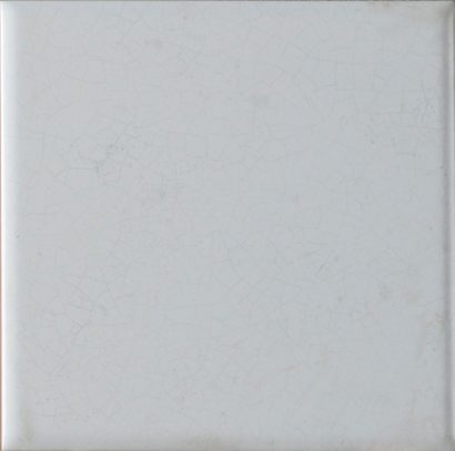 Керамическая плитка Настенная плитка VINTAGE Blanco 20x20
