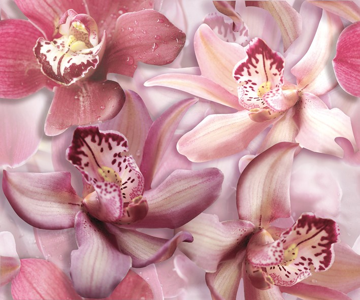 Porto Flowers «Orchid lila» Панно 50×60 (2пл)