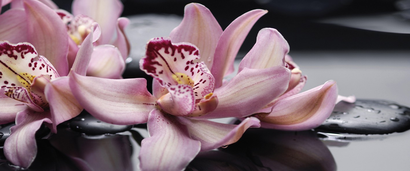 Porto «Orchid lila» Панно 50×120 (4пл)