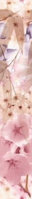 Керамическая плитка Sakura Бордюр B300D131 4
