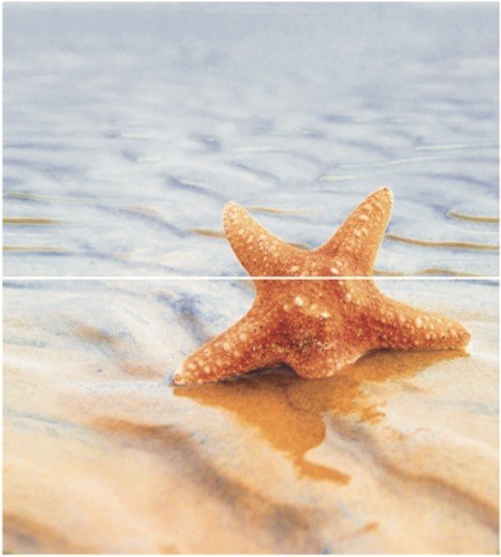 Starfish 1 (панно из 2-х шт) 50×45