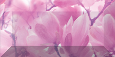Керамическая плитка Magnolia Бордюр рельефный br1020D297-2 20×10
