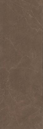 Керамическая плитка Низида Плитка настенная коричневый 12090R N 25×75
