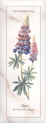 Керамическая плитка Ноттингем Декор Цветы грань NT A85 15005 15×40