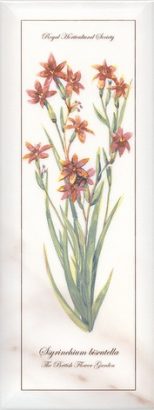 Керамическая плитка Ноттингем Декор Цветы грань NT A88 15005 15×40