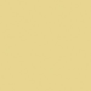 Керамогранит RW151 60×60 желтый полир.