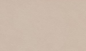 Керамическая плитка Сафьян Плитка настенная беж 15055    15×40
