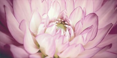 Керамическая плитка Sorenta mocca durst kwiaty В Декор 30×60