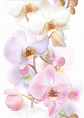 Керамическая плитка Tropicana Декор Orchids (TC2M051DT) 25×35