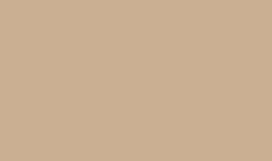 Керамическая плитка Вилланелла Плитка настенная беж темный 15074 15×40