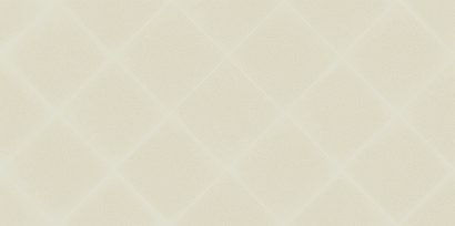Adele Latte WT9ADE11 Плитка настенная 249×500×8,5 (10 шт в уп 67.23 м в пал)