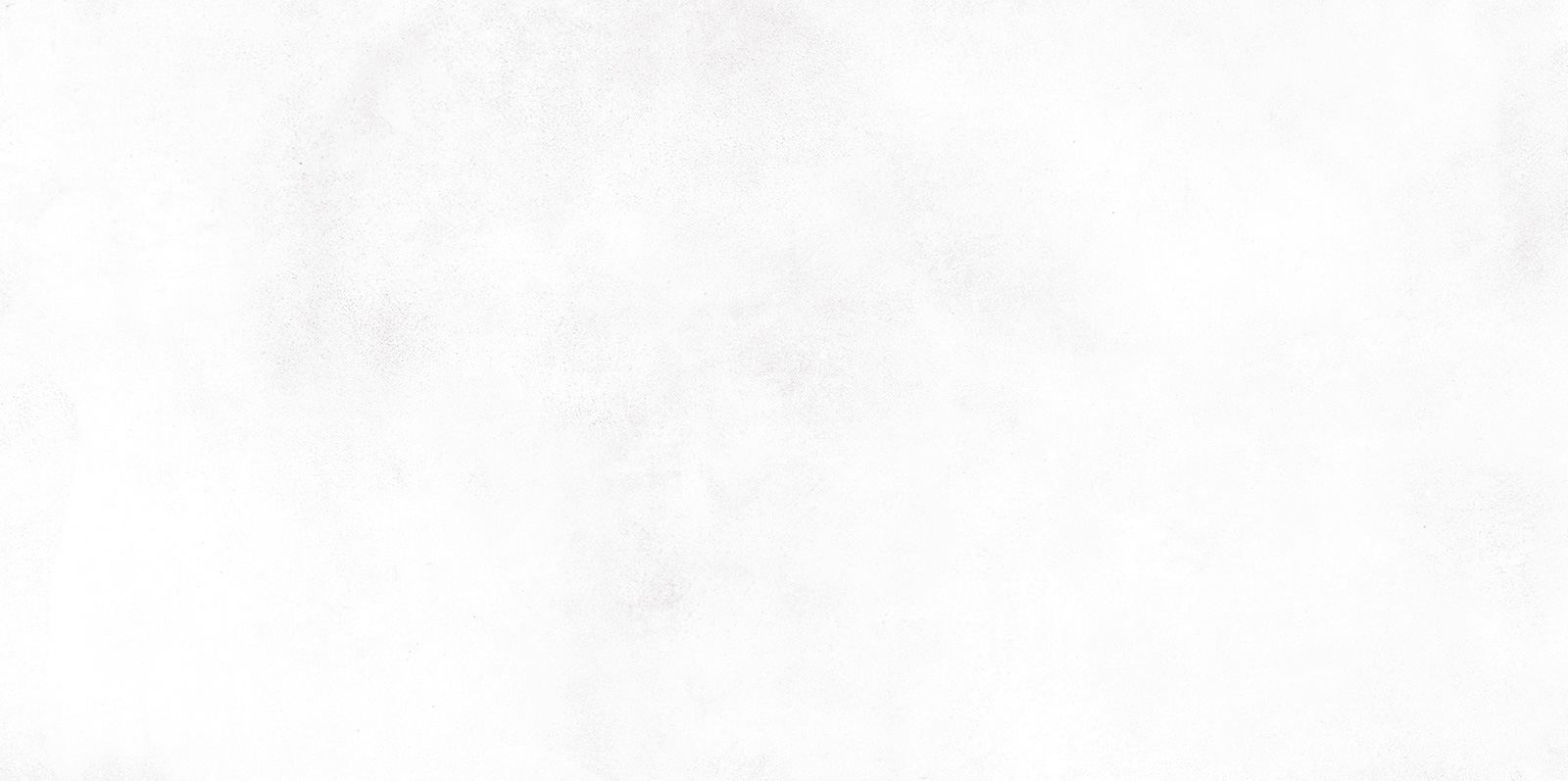 Konor White WT9KON00 Плитка настенная 249×500×7,5 (12 шт в уп 80.676 м в пал)