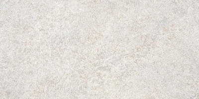 Stone-X Керамогранит Белый Матовый K949743R0001VTET 60×120