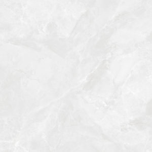 Керамогранит Regnum Bianco Керамогранит светло-серый CR6060G0391R 59