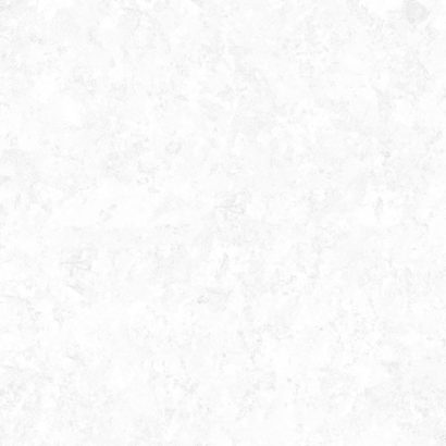 Ферн / Fern 249*500