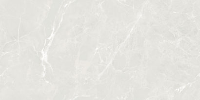 Мирабэль светло-серый / Mirabele light grey Керамогранит полированный 600*1200